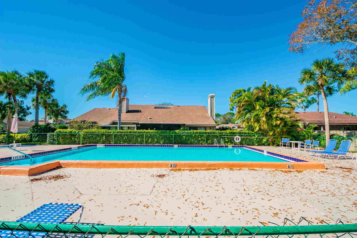 avenida madera pool area with lounge chairs