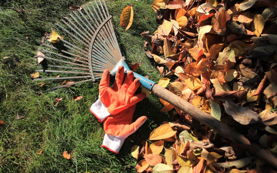 Fall Cleanup for Your Property