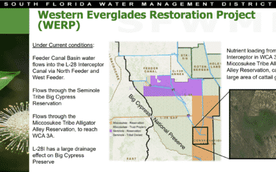 Project Highlight: C-139 Annex: Western Everglades Restoration Project